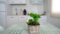 Kuchyňa alebo kuchynka v ubytovaní Rural Tarifa Villa María