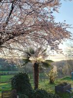Zahrada ubytování Cascina Patrizia