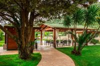 A garden outside Green Oasis Gabella
