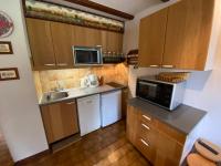 Kuchyňa alebo kuchynka v ubytovaní Studio avec mezzanine, balcon et parking à Châtel, proche des remontées mécaniques - FR-1-693-17