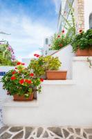 Balkón nebo terasa v ubytování Ekaterini Hotel