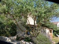 a tree in front of a house with a stone wall at Le Mas De La Chérine in Quinson