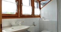 a bathroom with a sink and a toilet and windows at Bio Ferienbauernhof Greber in Schwarzenberg