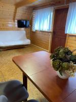 Televízia a/alebo spoločenská miestnosť v ubytovaní Domki letniskowe Ibiza