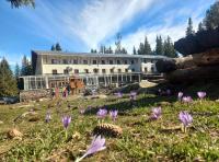 Zahrada ubytování Zvezditsa Chalet
