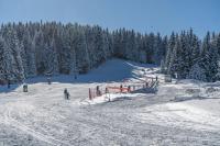 Zvezditsa Chalet v zimě