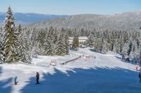 Zvezditsa Chalet v zimě