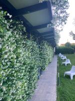 A garden outside Mxp Rooms Guest House