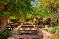 una fila di tavoli e sedie sotto un albero di Amadria Park Camping Trogir - Mobile Homes 2 a Seget Vranjica