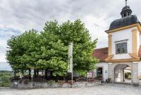 ReichersbergにあるAugustiner-Chorherrenstift Reichersbergの木の前の教会