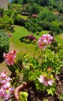 IL GIARDINO DEGLI ARANCI - Housity