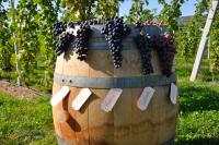 Vonkajšia záhrada v ubytovaní Agriturismo Corte Moranda