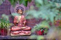 Lotus GuestHouseにある庭