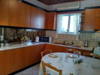 Kuchyň nebo kuchyňský kout v ubytování Aggelos House in Kalamitsi