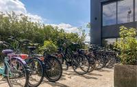 Jízda na kole v ubytování Vakantiepark De Zeeuwse Parel nebo okolí