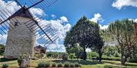 Ogród w obiekcie Les Curies - ludogîte, gîte et moulin avec piscine