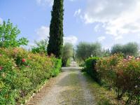 Ogród w obiekcie Villa il Rossignolo