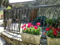 A garden outside Fattoria di Cintoia
