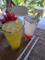 Drinks på HostelyGlampingNativo