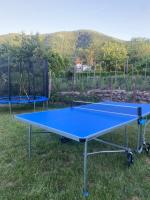 Stolní tenis v ubytování Kostenets Hills nebo okolí