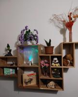 a book shelf with flowers and other items on it at Penzion Harmonie in Trutnov