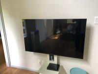 ペットと泊まれる貸切別荘 スイートヴィラ那須高原Doggy'sオハナにあるテレビまたはエンターテインメントセンター