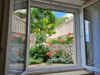 Zahrada ubytování Oasis apartment