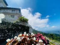 Příroda nedaleko hotelu