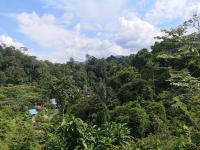 Příroda nedaleko hotelu