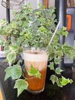 a drink in a glass next to a potted plant at Vi TamCoc Hotel in Ninh Binh