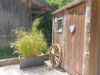 Vonkajšia záhrada v ubytovaní Le Chalet du BioT