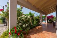 Zahrada ubytování Villa Mare