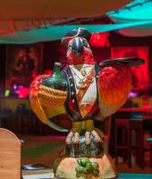 Bebidas em Hôtel Du Parc - Pirates