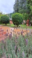 a bunch of purple flowers in a garden at Pousada Sino dos Ventos in Campos do Jordão