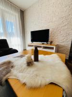 TV a/nebo společenská místnost v ubytování Boris’s Guest Apartment