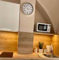 Kuchyň nebo kuchyňský kout v ubytování Apartmán Dominikánská
