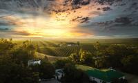 Una vista de un viñedo al atardecer con la puesta de sol. en Avoca River Cabins, en Addo