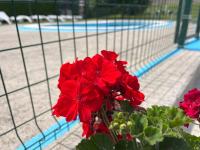Tenis a/nebo squash v ubytování Finca Vistalpas nebo okolí