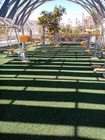 Zahrada ubytování منتجع بورتو شرم Porto sharm