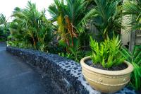 Hana Kai Maui - #107 Kama partial oceanview 1 BRにある庭