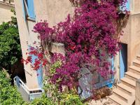 Ogród w obiekcie Appartement Hyères : 2 pièces, jardin privé, proche plage et port, WIFI, parking - FR-1-335-161