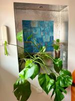 Plán poschodí v ubytovaní A spacious, sunny & calm loft in Avignon’s heart