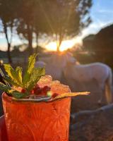 Una bebida con frutas y verduras en un vaso con la puesta de sol. en Lou Garbin, en Saint-Laurent-dʼAigouze