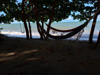 a hammock hanging from trees on a beach at Pousada ZEN Cumuruxatiba in Cumuruxatiba