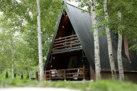una casa en el bosque con un techo negro en Miletic Villas, en Despotovac