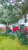 Vonkajšia záhrada v ubytovaní Loft House Rozewie - Całoroczne domki z Balią ogrodową