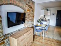 TV a/nebo společenská místnost v ubytování APARTMÁNY 91 Boží Dar