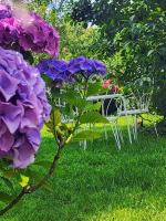 A garden outside B&B Alle Ortensie Blu
