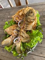 un uccello morto seduto sopra un'insalata di Clube de pesca e pousada boa sorte a Itauçu