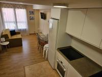 Kuchyňa alebo kuchynka v ubytovaní Apartamentos Palacio Azcárate Calle Calvario